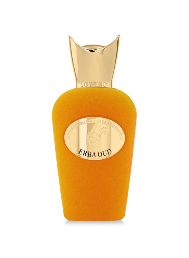 سوسبيرو ماء عطر إربا عود 100مل من سوسبيرو - Image 1