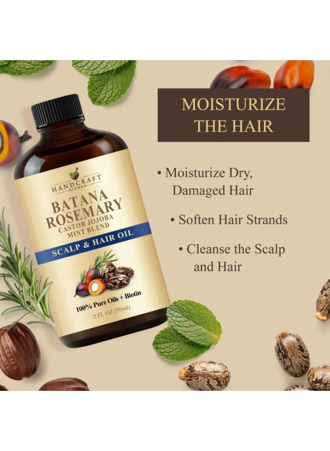 هاند كرافت بليندز Batana & Rosemary Hair Growth Oil 59 ml – Scalp Treatment & Strengthening for Growth & Loss, Thinning, Dry Scalp, Split Ends – Natural Hair Oil for Women & Men – Intensive Repair & Nourishing Formula - Image 3