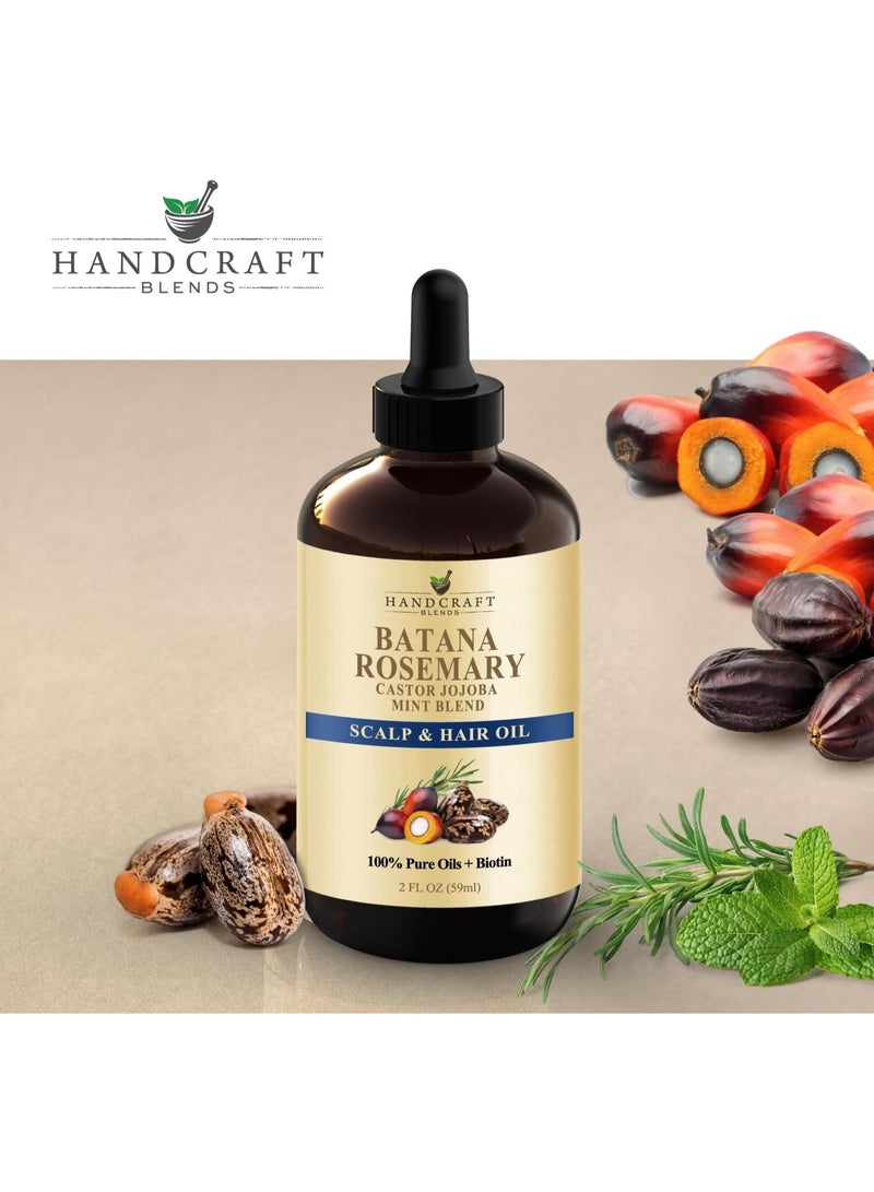 هاند كرافت بليندز Batana & Rosemary Hair Growth Oil 59 ml – Scalp Treatment & Strengthening for Growth & Loss, Thinning, Dry Scalp, Split Ends – Natural Hair Oil for Women & Men – Intensive Repair & Nourishing Formula - Image 5