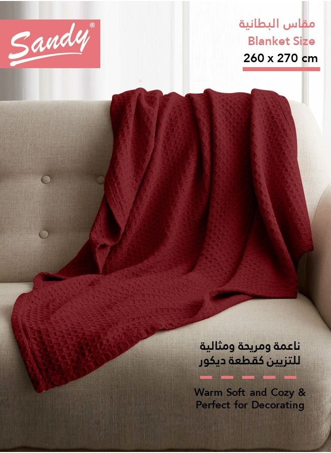 Sandy SANDY Premium 100% Cotton Blanket, soft, breathable thermal blanket and lightweight, Prefect for layering bed, sofa, home decoration and couch, Double size: (260×270 cm), Burgundy  - Image 2