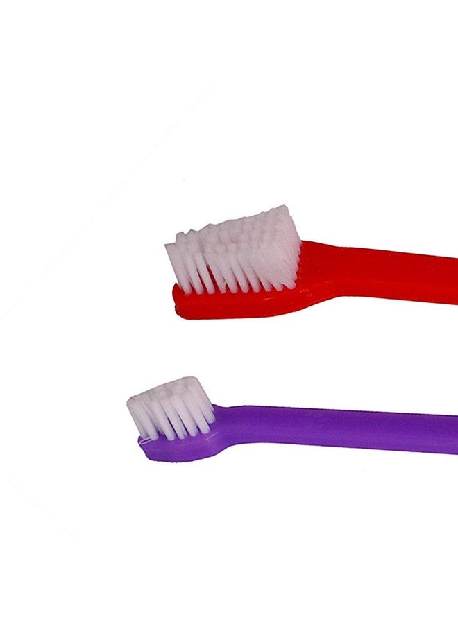 Pet Dog/Cat'S Double Headed Toothbrush (Pack -1 Pcs) - Image 2
