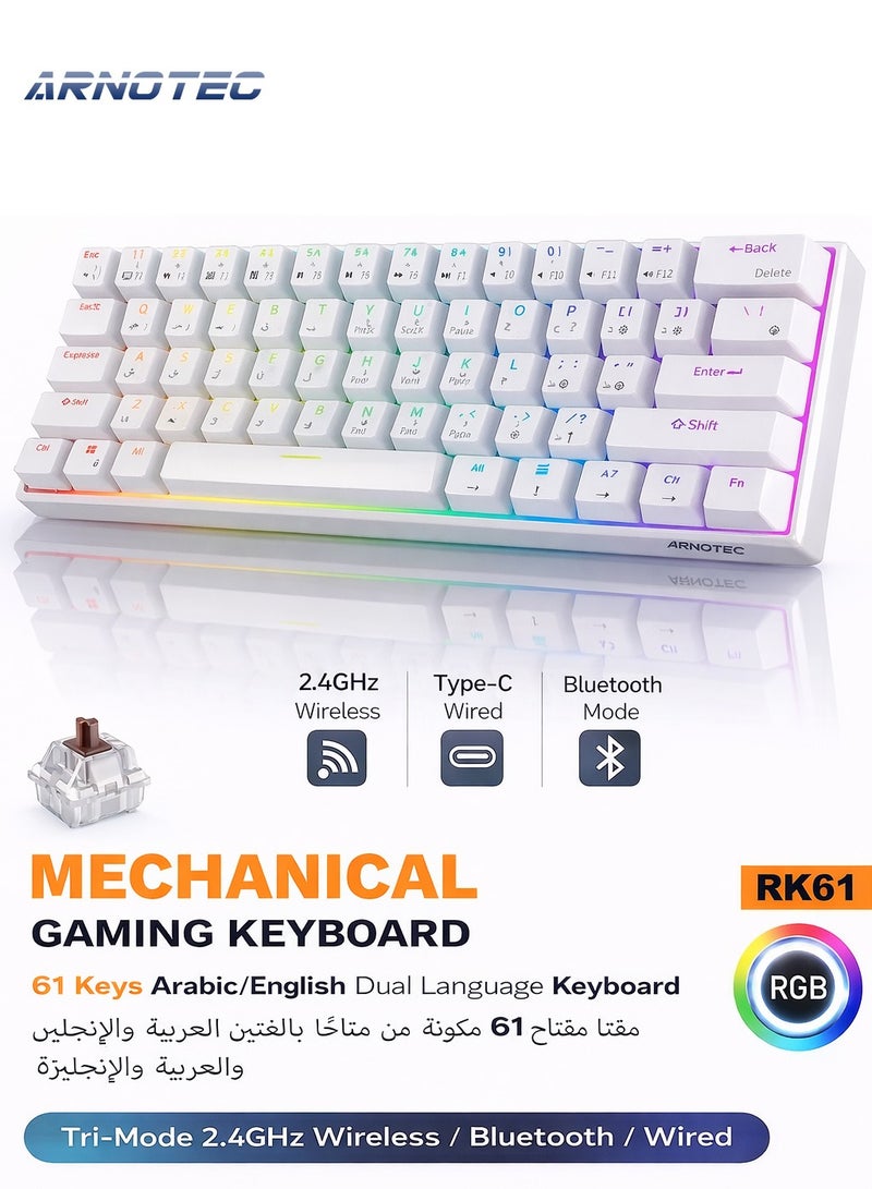 ARNOTEC RK61 ثلاثة أوضاع 2.4 جيجا هرتز لاسلكية / بلوتوث / سلكية 60٪ لوحة مفاتيح ميكانيكية، 61 مفتاحًا RGB Brown Switch لوحة مفاتيح الألعاب مع برنامج Win / Mac - Image 1