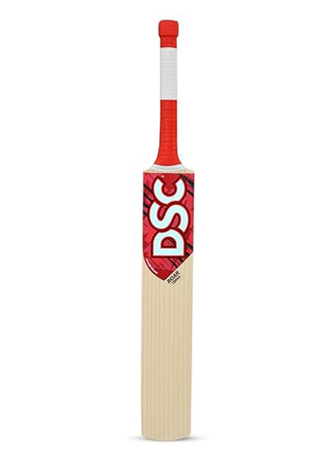DSC Roar Terra Kashmir Willow Cricket Bat | Optimized Balance | Impact Resistance | Precision Craftsmanship - Image 1