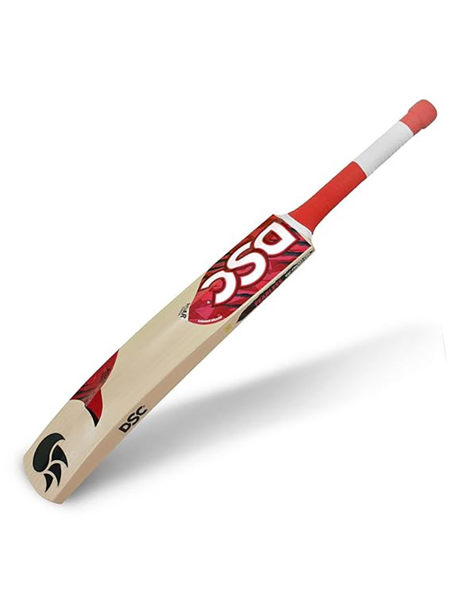 DSC Roar Terra Kashmir Willow Cricket Bat | Optimized Balance | Impact Resistance | Precision Craftsmanship - Image 2