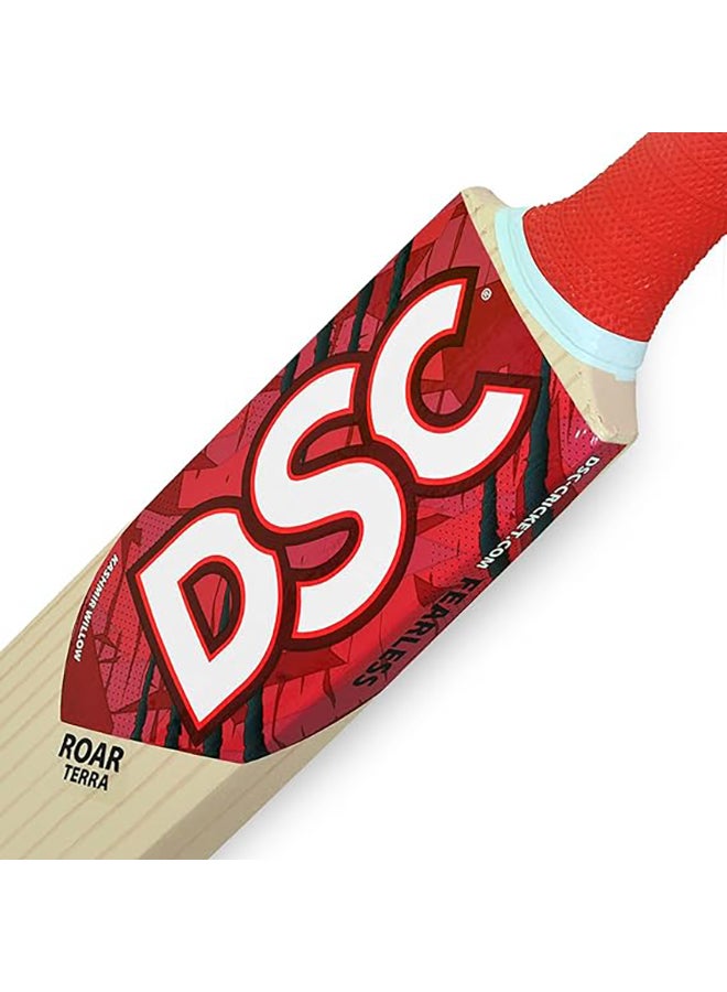 DSC Roar Terra Kashmir Willow Cricket Bat | Optimized Balance | Impact Resistance | Precision Craftsmanship - Image 3