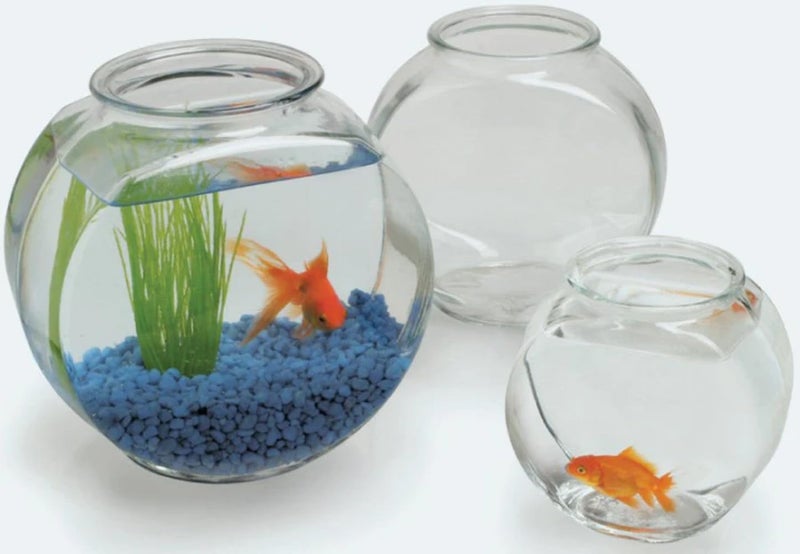 Anchor Hocking 4262 Goldfish Bowl Drum, 1 Gallon - Image 2