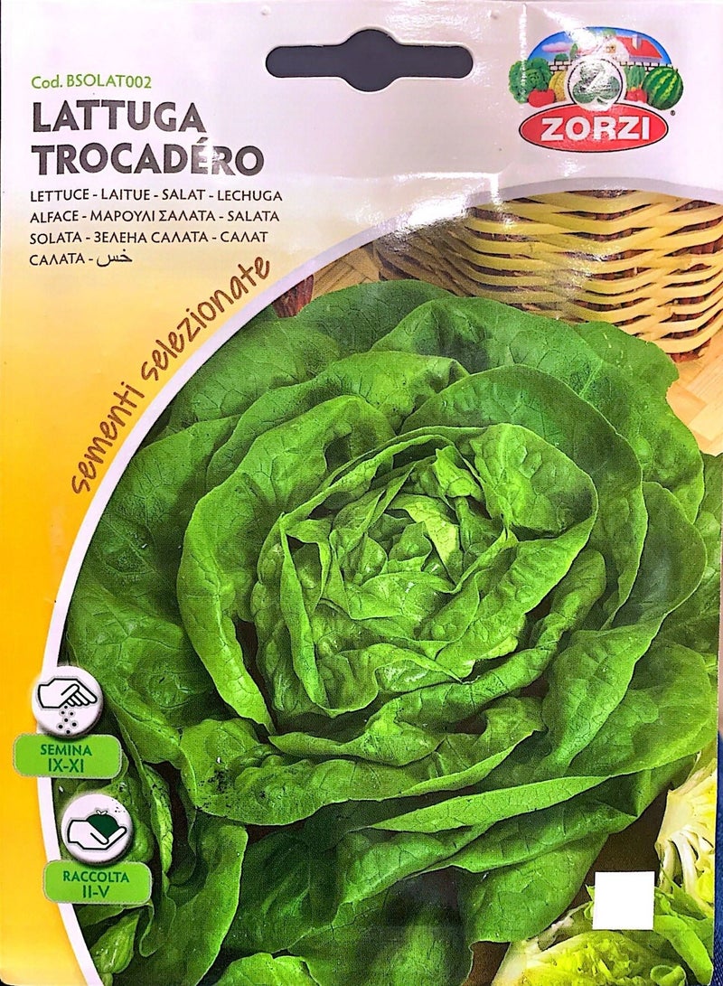 ZORZI Lettuce Seeds