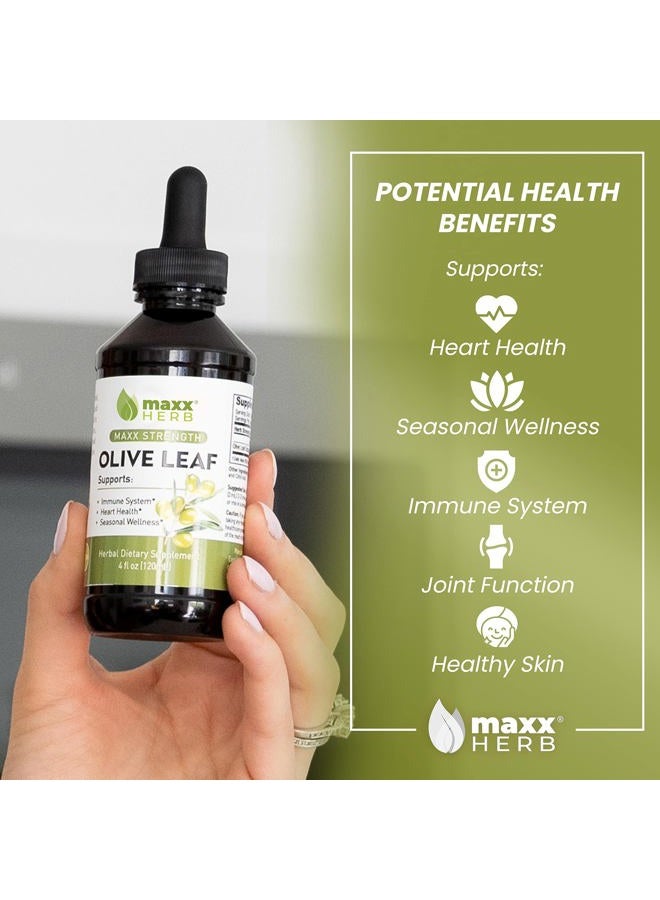 Maxx Herb Olive Leaf Extract: Maximum potency liquid oleuropein absorbs better than capsules or tea, to support immune system, heart health and wellness - Image 3