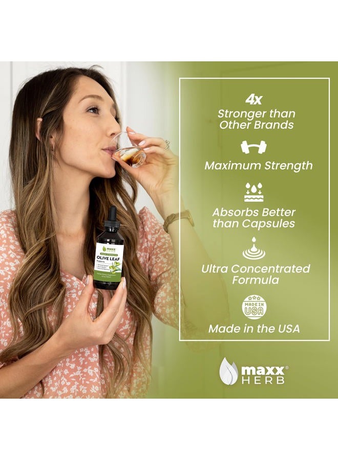 Maxx Herb Olive Leaf Extract: Maximum potency liquid oleuropein absorbs better than capsules or tea, to support immune system, heart health and wellness - Image 2
