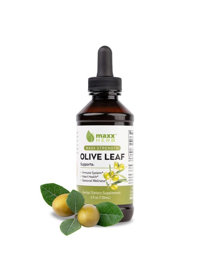 Maxx Herb Olive Leaf Extract: Maximum potency liquid oleuropein absorbs better than capsules or tea, to support immune system, heart health and wellness - Image 1