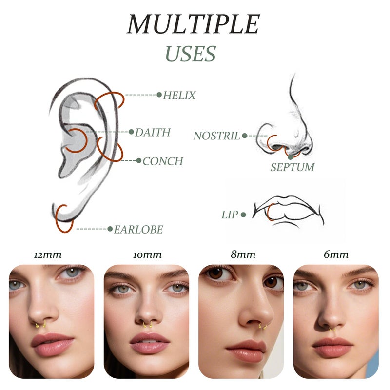 D.Bella 8PCS 16G Stainless Steel Nose Septum Horseshoe Earring Eyebrow Septum Lip Helix Tragus Piercing Ring 6-12mm Gold Piercing Jewelry - Image 5