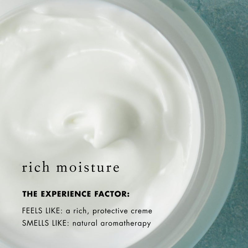 Bioelements SPF 50 FaceScreen - 2.3 oz - Antioxidant, Broad-Spectrum SPF 50 Sunscreen Moisturizer - Vegan, Gluten Free - Never Tested on Animals - Image 4