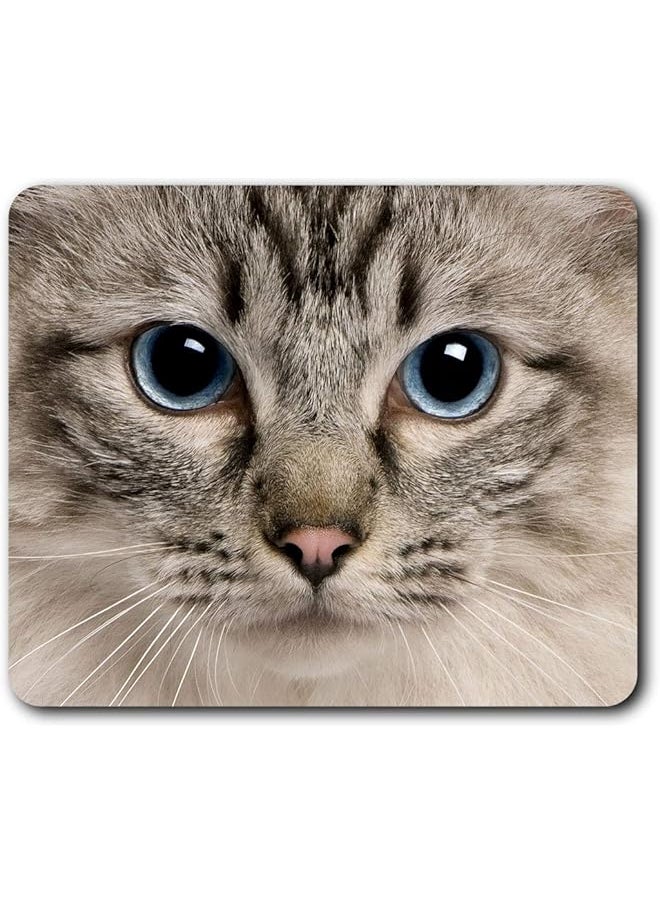 erorex - Pretty Ragdoll Cat Blue Eyes Mouse Mat Pad Computer Pc Laptop Gaming Office Home Desk Accessory Gadget 3596 - Image 1