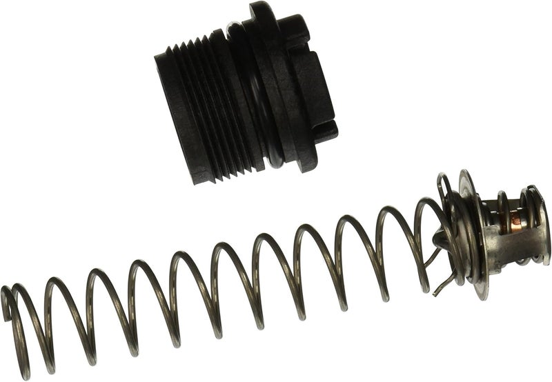 Pentair 777070010 Thermal Regulator Replacement Kit Pool and Spa Heater
