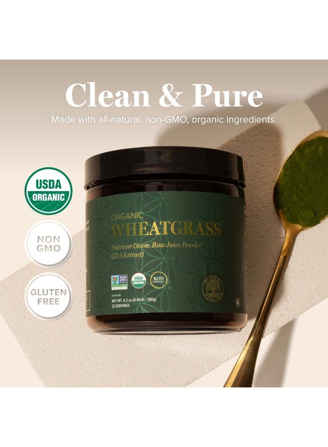 global healing center Global Healing Wheat Grass Powder Organic 180g - Nutrient-Dense, Raw Wheatgrass Juice Powder (33:1 Extract) with Strong Antioxidants for Immune Support & Energy Boost - Cold-Process, Non-GMO - 6.3 Oz - Image 4