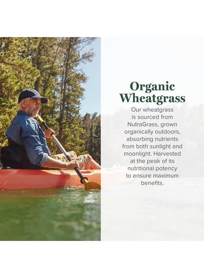 global healing center Global Healing Wheat Grass Powder Organic 180g - Nutrient-Dense, Raw Wheatgrass Juice Powder (33:1 Extract) with Strong Antioxidants for Immune Support & Energy Boost - Cold-Process, Non-GMO - 6.3 Oz - Image 3