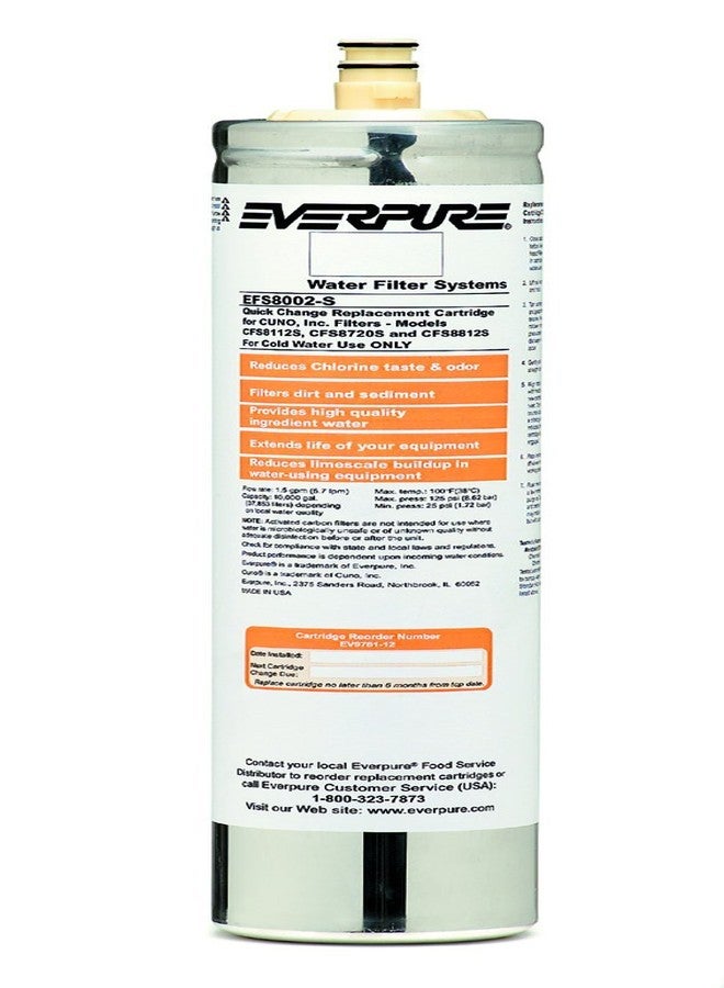 Everpure EV9781-12 EFS8002-S Filter Cartridge