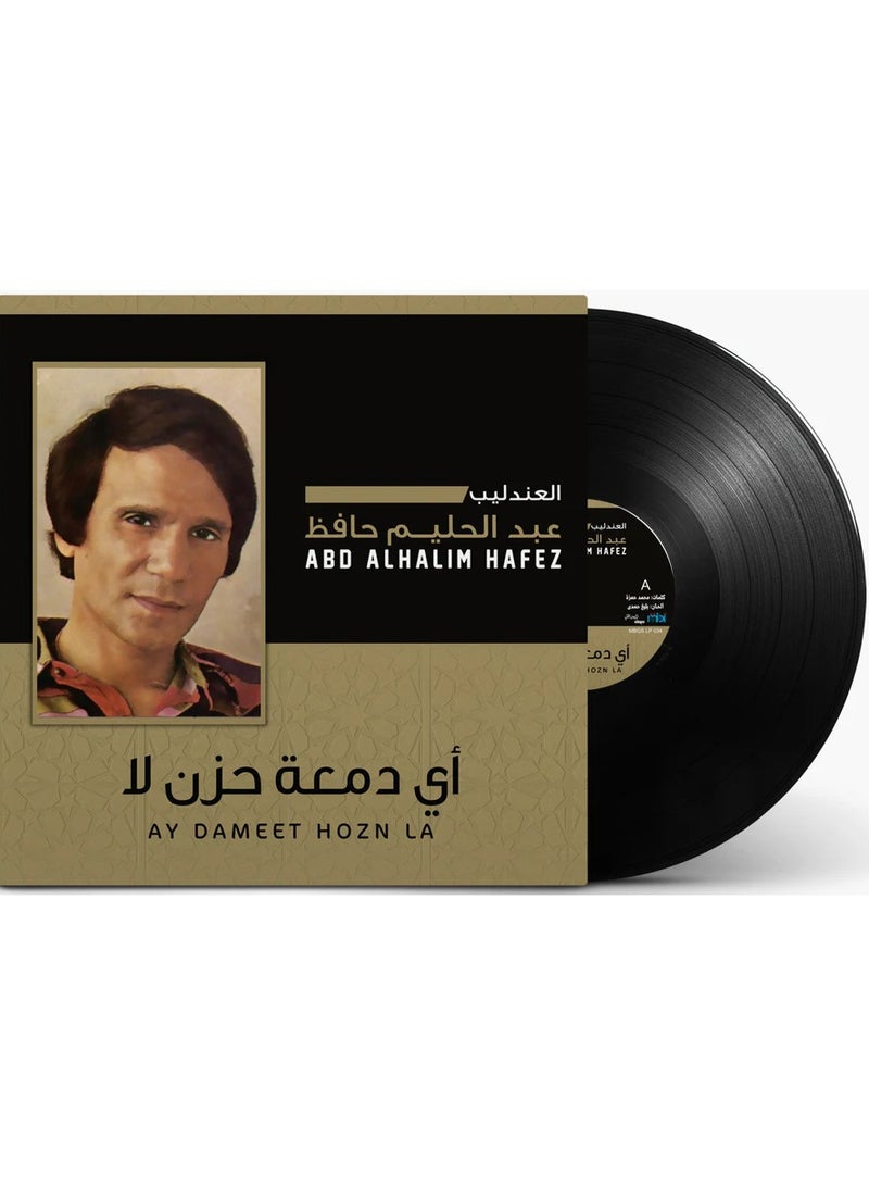 REBENUO Ay Dameet Hozn La Vinyl - Image 1
