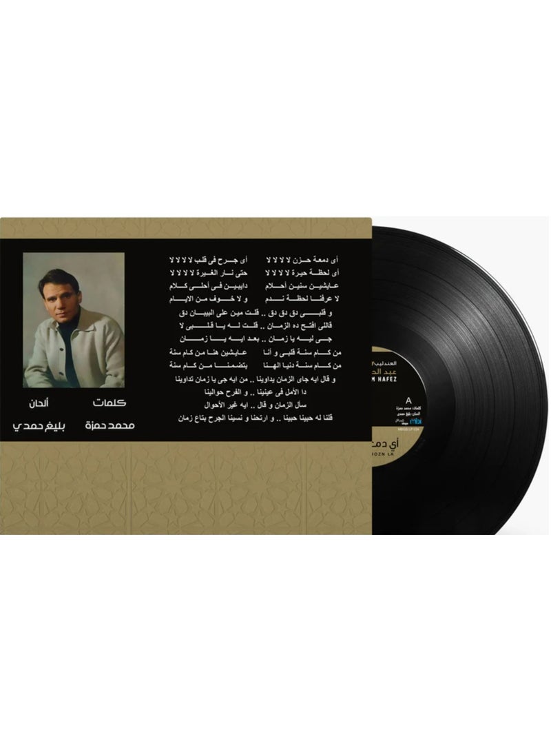 REBENUO Ay Dameet Hozn La Vinyl - Image 2