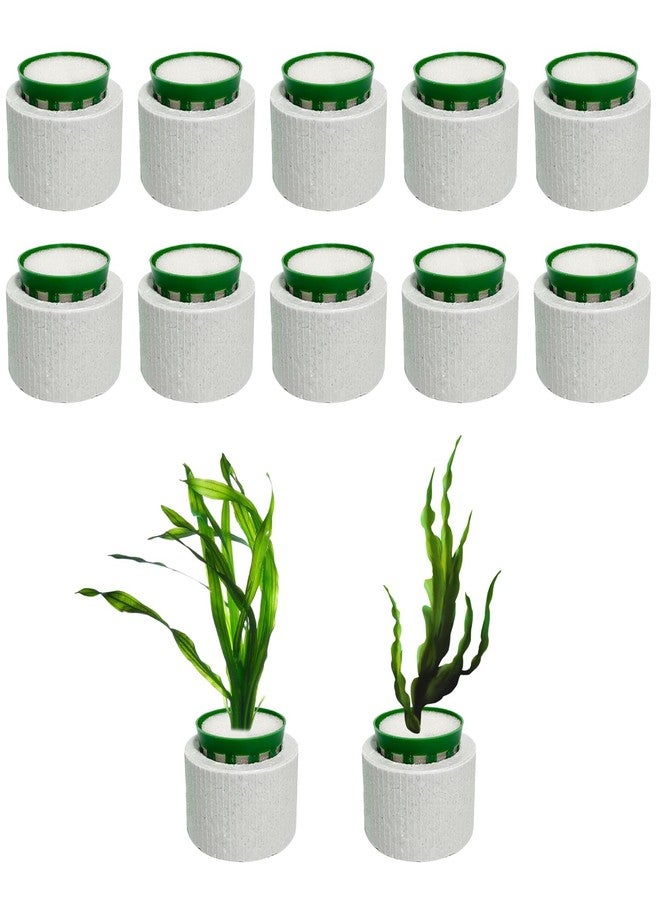 QoTang 12 Pack New Upgrade Aquarium Plant Weights, Aquatic Plants Fixed Ring Set, Anti-Floating Ceramic Aquarium Plant Rings, Aquarium Landscape Decoration Fish Tank Accessories 1.8 x 1.3 Inch - Image 1