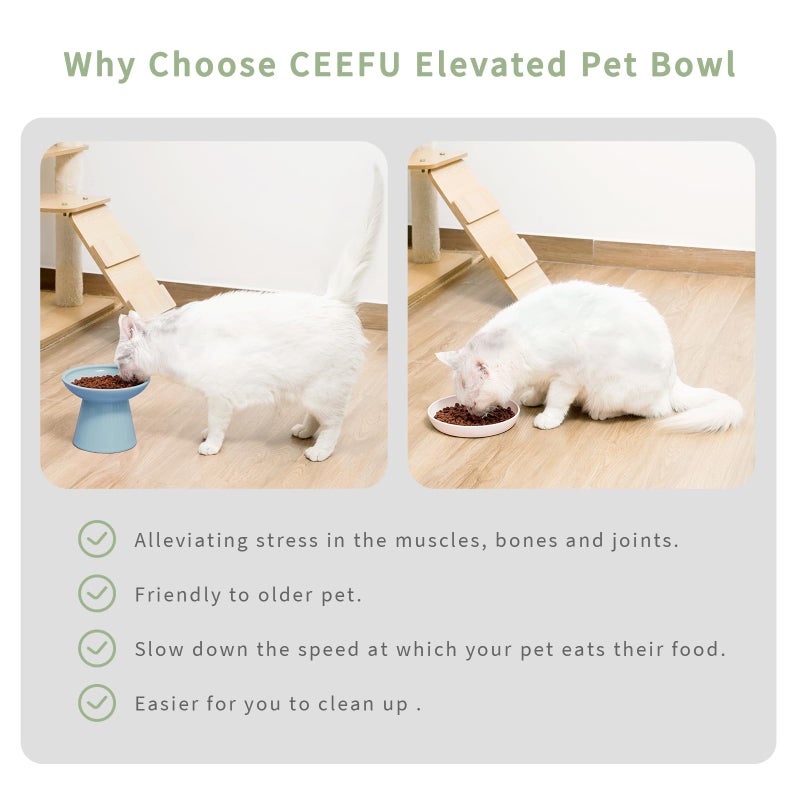 CEEFU Extra Wide Elevated Ceramic Cat Bowl, 6.2" Shallow Dish for Whisker Fatigue Relief, 5" Height for Easy Feeding, Durable Raised Cat Food Bowls, Pack of 2, Blue - Image 5