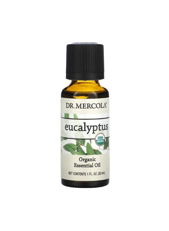 Dr. Mercola Organic Essential Oil Eucalyptus 1 fl oz 30 ml - Image 1