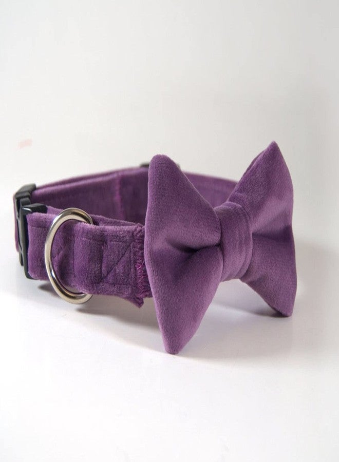 RR Design Velvet Dog Bow Tie/Dog Bow-Tie/Dog Gift With Collar Or Neck Gear (Adjustable)-Medium-Blue (Purple),?10 cm,W_10 cm - Image 1