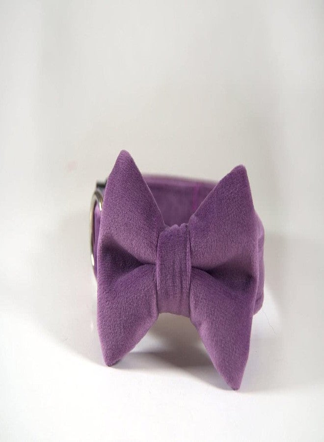 RR Design Velvet Dog Bow Tie/Dog Bow-Tie/Dog Gift With Collar Or Neck Gear (Adjustable)-Medium-Blue (Purple),?10 cm,W_10 cm - Image 5
