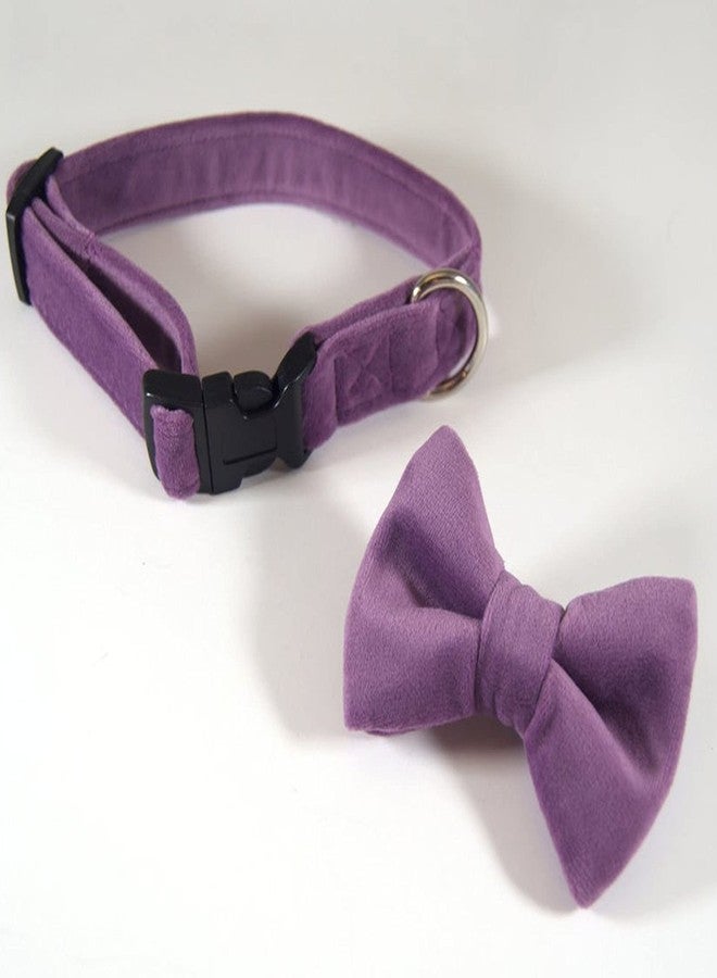RR Design Velvet Dog Bow Tie/Dog Bow-Tie/Dog Gift With Collar Or Neck Gear (Adjustable)-Medium-Blue (Purple),?10 cm,W_10 cm - Image 2