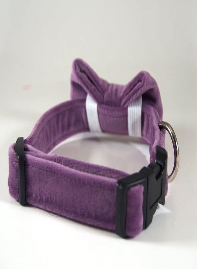RR Design Velvet Dog Bow Tie/Dog Bow-Tie/Dog Gift With Collar Or Neck Gear (Adjustable)-Medium-Blue (Purple),?10 cm,W_10 cm - Image 3