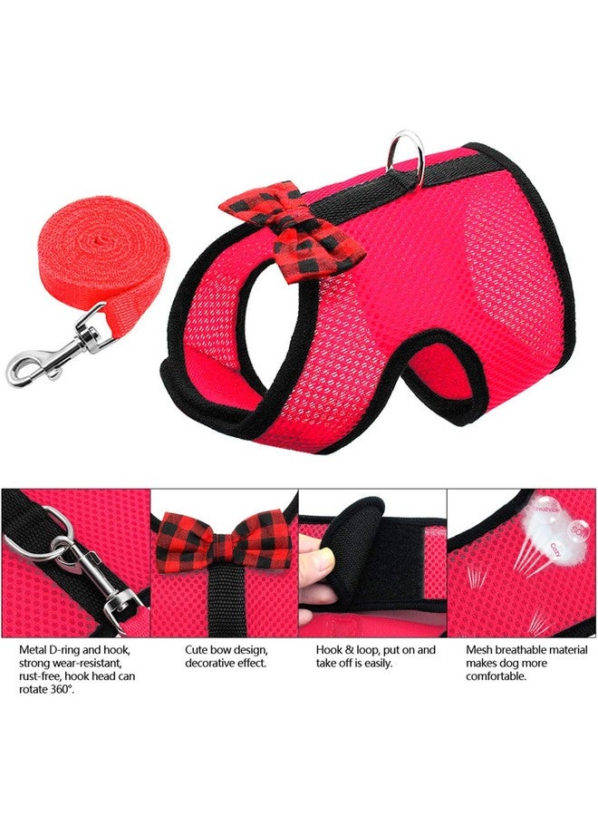 Rypet Animal Harness and Leash - Soft Mesh Pet Harness With Safe Bell, No Pull Comfort Padded Vest for Small Pet Red M - Image 4