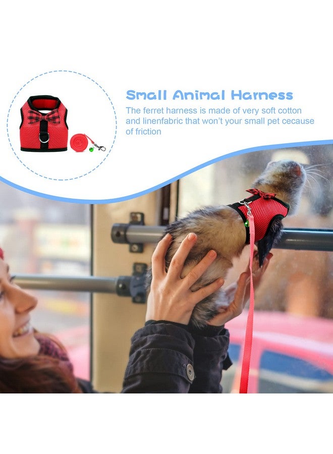 Rypet Animal Harness and Leash - Soft Mesh Pet Harness With Safe Bell, No Pull Comfort Padded Vest for Small Pet Red M - Image 5