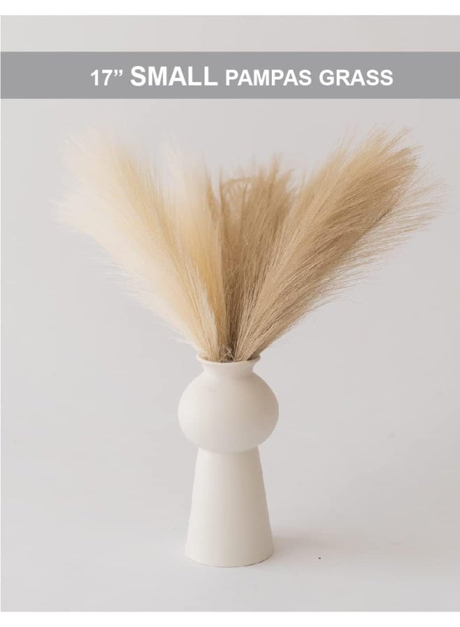 Generic Chagoart Pampas Grass Decor Tall Faux Pampas Grass Small 17 Inch 6 Stems Beige And Taupe Brown Pompas Floral Fake Pampas Grass Artificial Pampas Grass  - Image 2