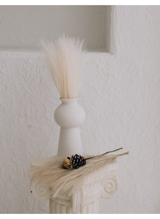Generic Chagoart Pampas Grass Decor Tall Faux Pampas Grass Small 17 Inch 6 Stems Beige And Taupe Brown Pompas Floral Fake Pampas Grass Artificial Pampas Grass  - Image 5