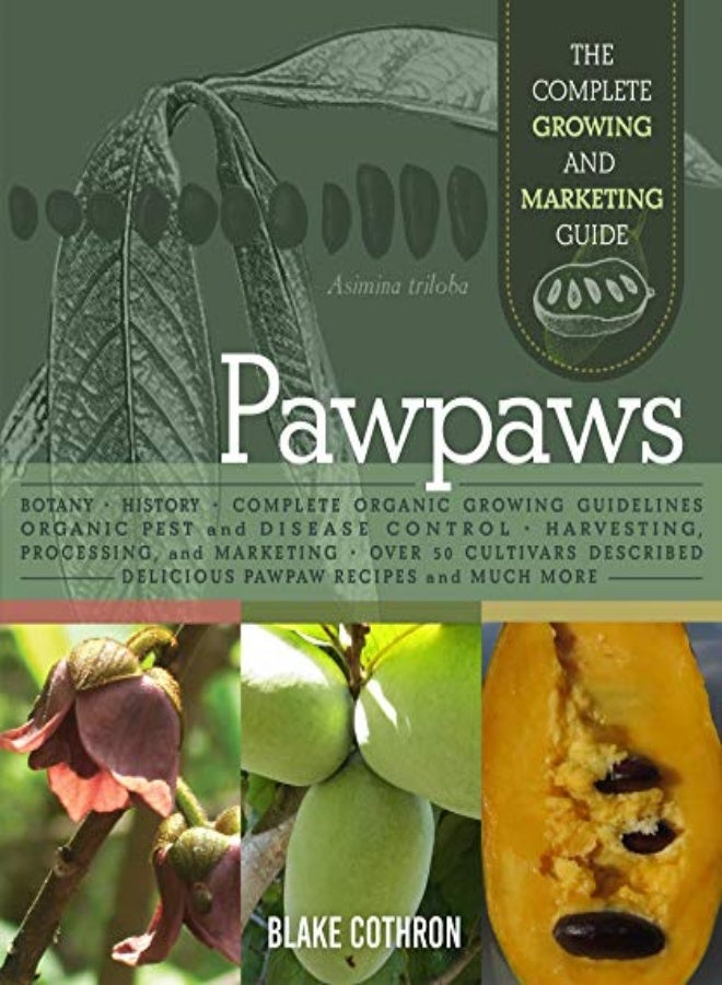 Pawpaws 