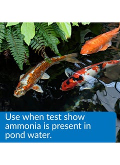 API Pond AmmoLock Ammonia Detoxifier For Pond Water 64Ounce Bottle  - Image 2