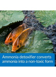 API Pond AmmoLock Ammonia Detoxifier For Pond Water 64Ounce Bottle  - Image 4