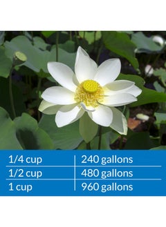 API Pond AmmoLock Ammonia Detoxifier For Pond Water 64Ounce Bottle  - Image 5