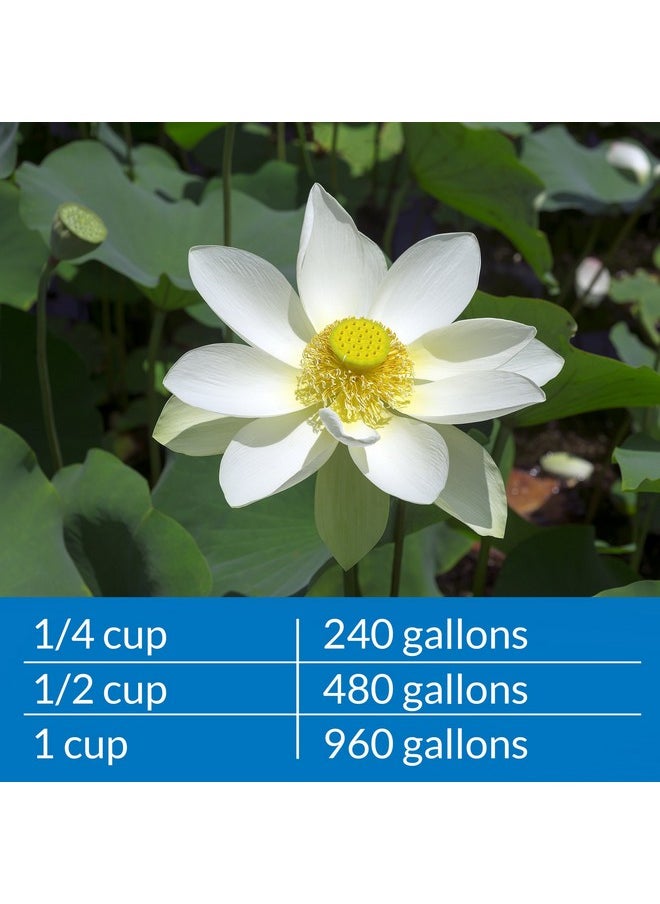 API Pond AmmoLock Ammonia Detoxifier For Pond Water 64Ounce Bottle  - Image 5