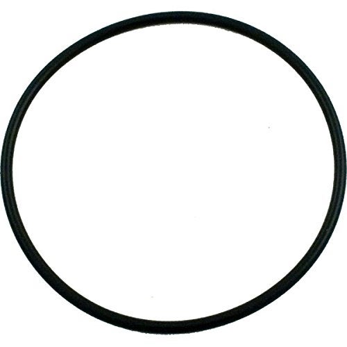Pentair Pentair 354533 O-Ring Lid Replacement Sta-Rite Dynamo Aboveground Swimming Pool Pump - Image 1