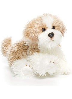 NIBEMINENT Small Maltipoo Dog Curly Light Brown 10 x 7 4inch  - Image 1