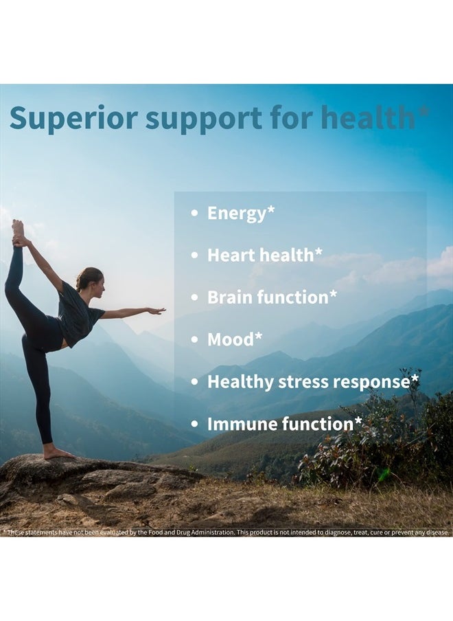 Super B-Complex – Methylated Sustained Release Clean Label B Complex with Methylfolate, Boosted B12 Methylcobalamin, Vegan, Lab Verified, 180 Small Tablets by Igennus