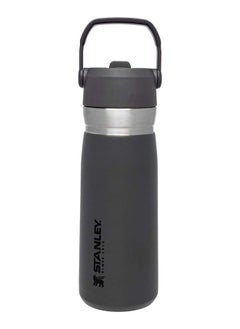 Stanley IceFlowâ„¢  Flip Straw Water Bottle 0.65L / 22OZ Charcoal â€“ Leakproof | Stainless Steel Water Bottle with Flip Straw | BPA FREE | Easy to Carry | Dishwasher safe | Lifetime Warranty