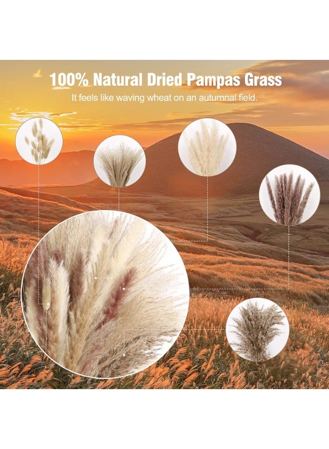 Arabest Dried Pampas Grass Decor- White Pampas Grass, Brown Pampas, Bunny Tail, Reed, Fluffy Dried Pompas Grass Flower for Home Wedding Table Vase Boho Modern Decor, 75Pcs - Image 4