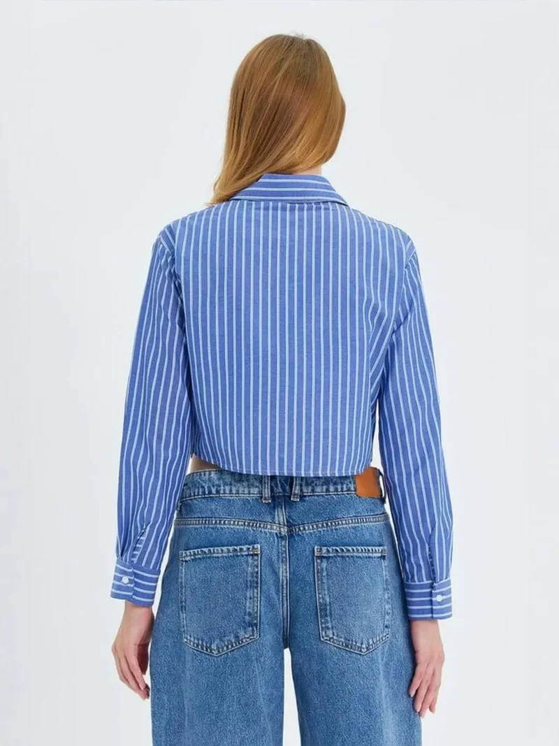MixRay Mixray Striped Poplin Crop Shirt with Pocket