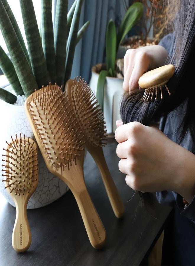 SAMEBUTECO Bamboo Hair Brush Set 4 Styles Paddle Detangling Brushes for Thick, Thin, Curly, and Dry Hair Women and Girls Hair Message Brushes 2 Indoor Used 2 Outdoor Used Travel portable - Image 3