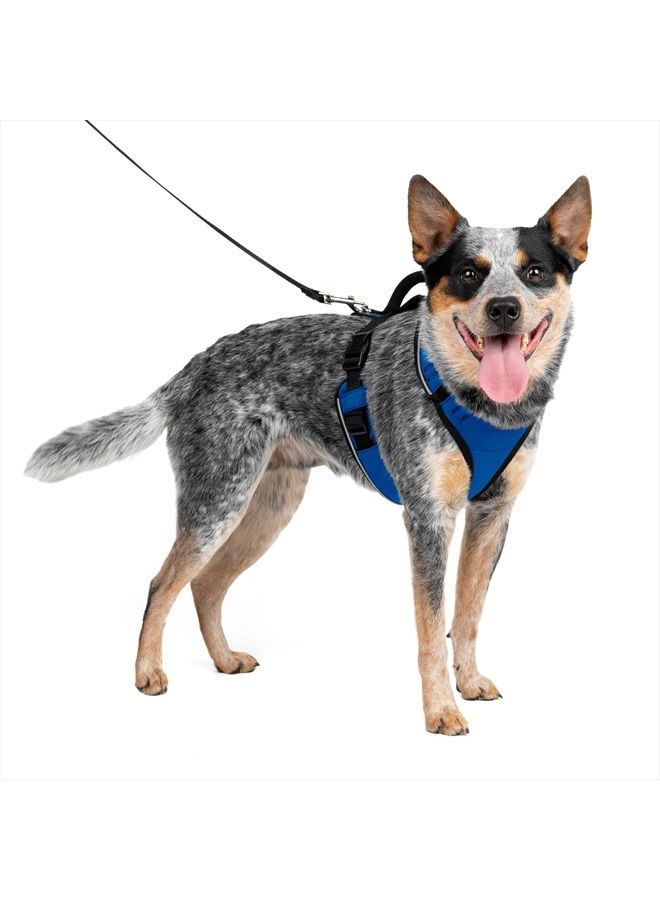 PetSafe EasySport Dog Harness, Adjustable Padded Dog Harness with Control Handle and Reflective Piping, From the Makers of the Easy Walk Harness,Blue,Medium - Image 1