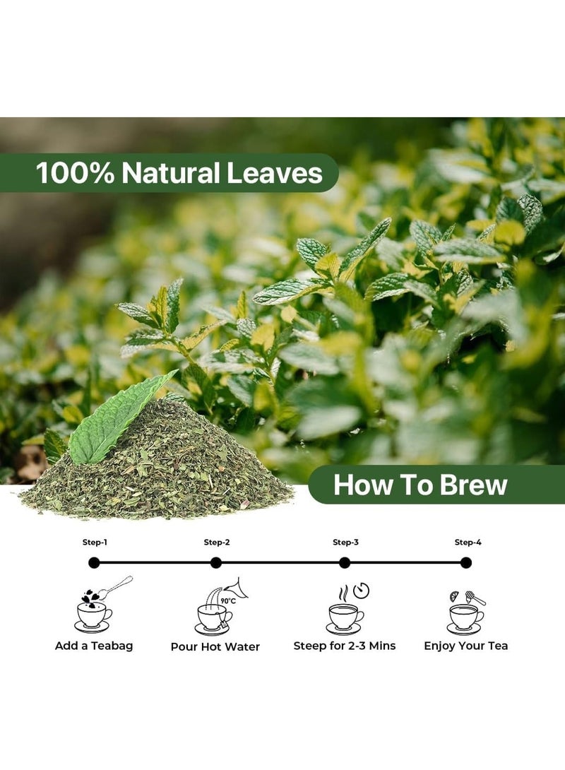 BLUE TEA - Spearmint Tea - 100 gm -100 Cups | Pcos Relief | Balances Hormones, Reduces Facial Hair & Acne and Supports Digestion | Herbal Tea - Dried Loose Leaf - Caffeine Free | Reusable Pet Jar - Image 5