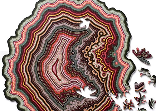 IPPINKA Agate Wooden Mind Exercise Challenge for Adults 180 Pieces 8 x 025 in Multicolor - Image 5