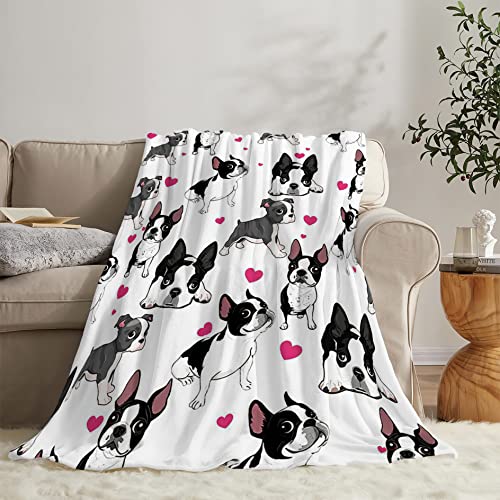 Tijuboni French Bulldog Blanket for Girls Boys Women Gifts Lovers Cute Throw Kids Adults Ultra Soft Cozy Fleece Couch Sofa ​Bed 40''x50'' - Image 4